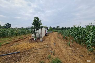 Bandar Sungai Petani