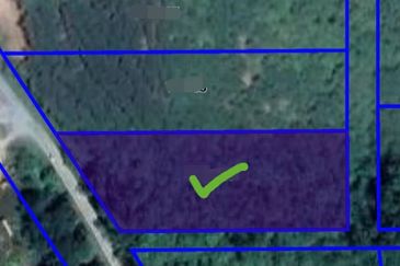 Tanah Tepi Jalan Utama Gua Musang ke Cameron Highland