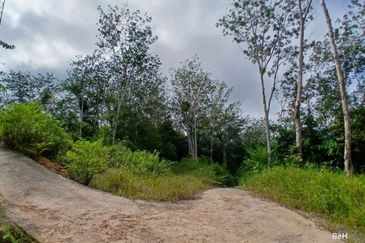 Tanah Tepi Jalan Utama Gua Musang ke Cameron Highland
