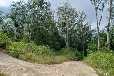 Tanah Tepi Jalan Utama Gua Musang ke Cameron Highland