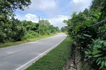 Tanah Tepi Jalan Utama Gua Musang ke Cameron Highland