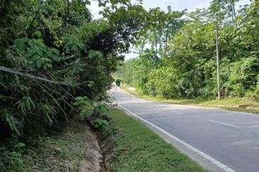 Tanah Tepi Jalan Utama Gua Musang ke Cameron Highland