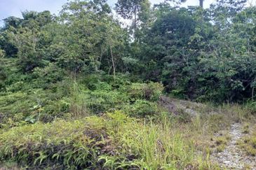 Tanah Tepi Jalan Utama Gua Musang ke Cameron Highland