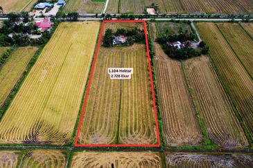 Tanah Sawah Beserta Rumah Geran Individu di Sempadan Tanjong Karang