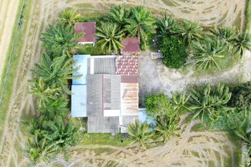 Tanah Sawah Beserta Rumah Geran Individu di Sempadan Tanjong Karang