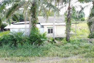 Tanah Sawah Beserta Rumah Geran Individu di Sempadan Tanjong Karang
