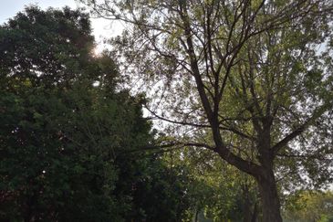 Canal Gardens, Kota Kemuning