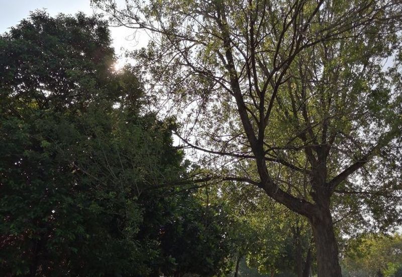 Canal Gardens, Kota Kemuning