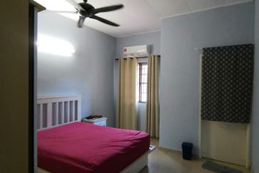 Anggerik Doritis @ Kota Kemuning