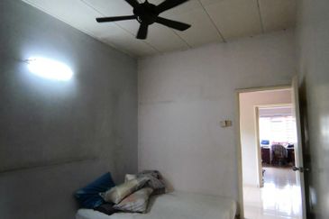 Anggerik Doritis @ Kota Kemuning