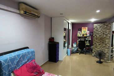 Anggerik Doritis @ Kota Kemuning