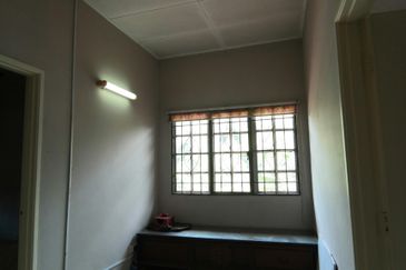 Anggerik Doritis @ Kota Kemuning