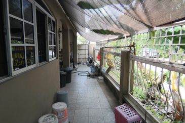 Anggerik Doritis @ Kota Kemuning