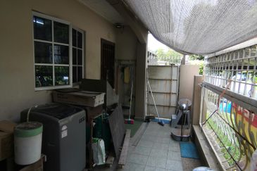 Anggerik Doritis @ Kota Kemuning