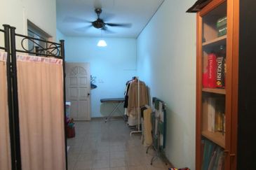 Anggerik Doritis @ Kota Kemuning