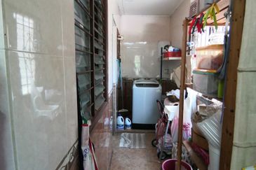 Anggerik Doritis @ Kota Kemuning