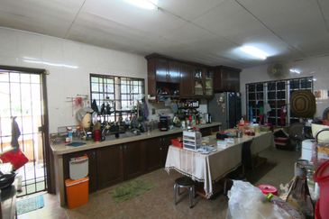 Anggerik Doritis @ Kota Kemuning