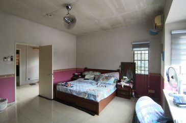 Anggerik Doritis @ Kota Kemuning