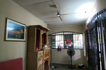 Anggerik Doritis @ Kota Kemuning