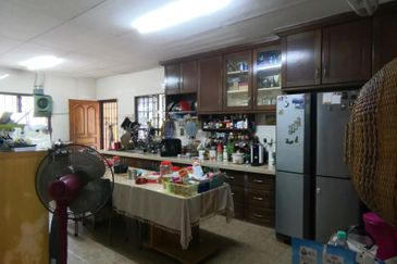 Anggerik Doritis @ Kota Kemuning