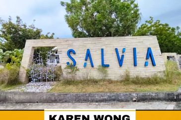 SALVIA, BUKIT BANYAN
