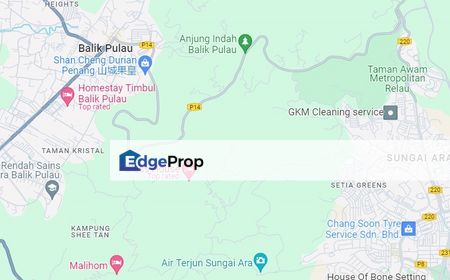 Freehold First Grade Land along Jalan Tun Sardon - Land with a Natural Slope and Usable Flat Zones., Penang, Balik Pulau