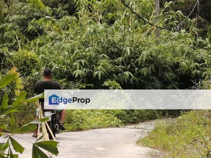 Paya Terubong Durian land for sale, Penang, Paya Terubong