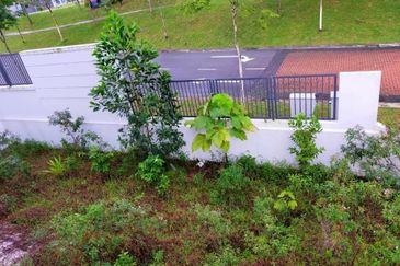 The Cove Semi-Detached @ Horizon Hills