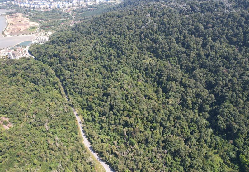 Teluk Batik, Sitiwan | Residential Land | 104.77 acre Land for sale | Suitable as Resort Development