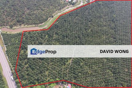 22.5 Arce | Freehold Agricultural land under Industrial Zoning. , Perak, Taiping