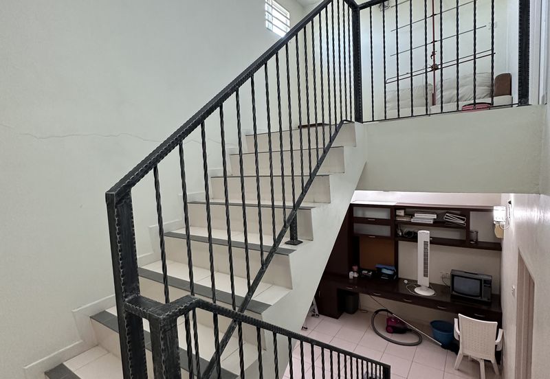 FLORA TROPIKA (THE THOMPSON)