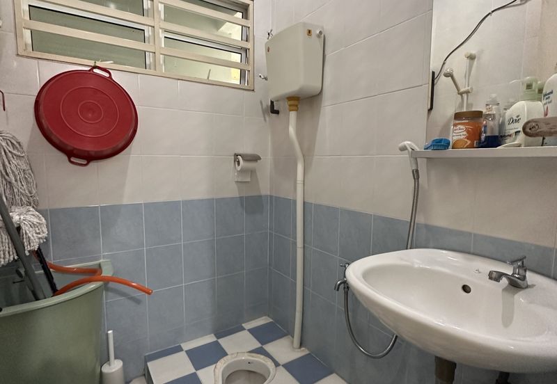 FLORA TROPIKA (THE THOMPSON)