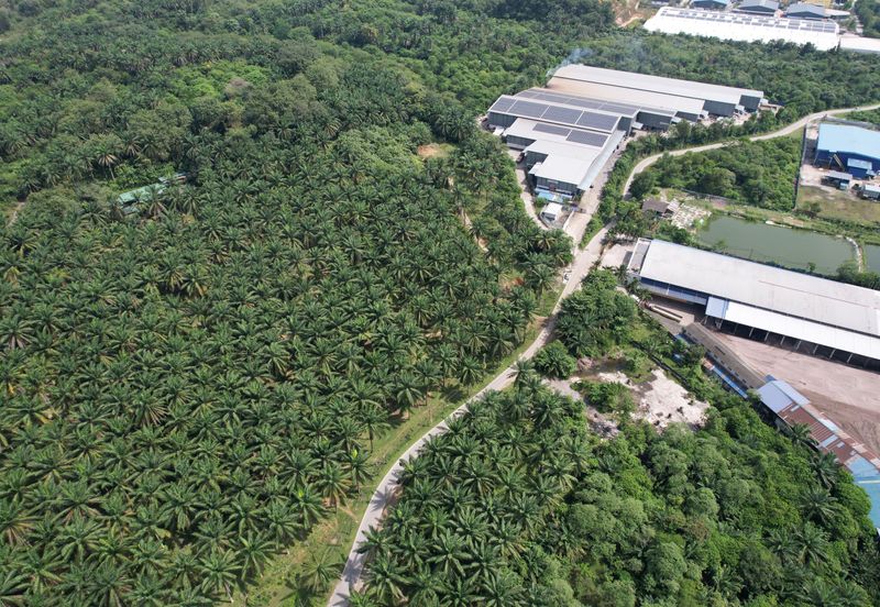 Rawang, Selangor | Industrial Zoning Land | Uncategorized Land | Freehold