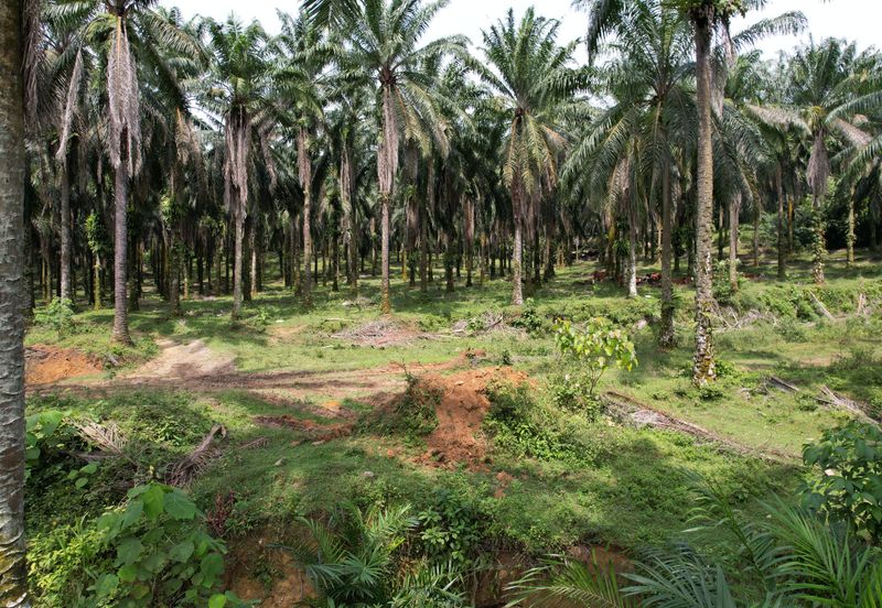 Rawang, Selangor | Industrial Zoning Land | Uncategorized Land | Freehold