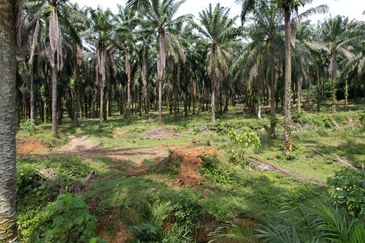 Rawang, Selangor | Industrial Zoning Land | Uncategorized Land | Freehold