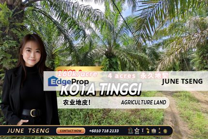 Kota Tinggi Agriculture Land For Sale, Johor, Ulu Tiram
