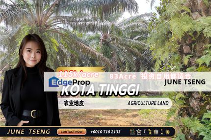 Kota Tinggi Agriculture Land For Sale, Johor, Ulu Tiram