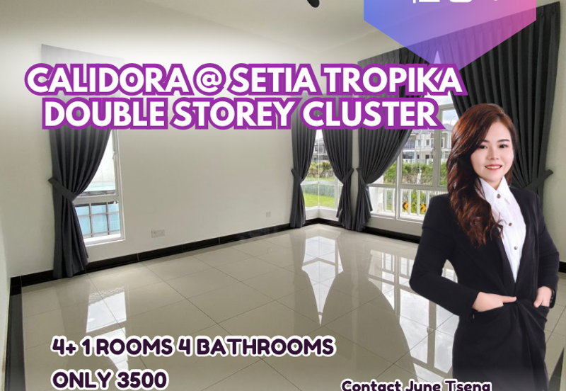 Double storey cluster setia tropika