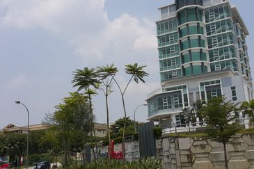 Laman Komersil Areca