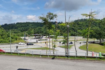 Laman Komersil Areca