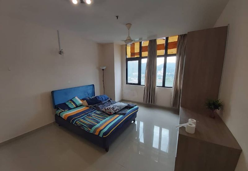 E Suite-Designer Suites