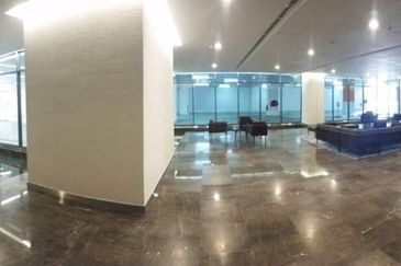 Cyperus @ Tropicana Gardens