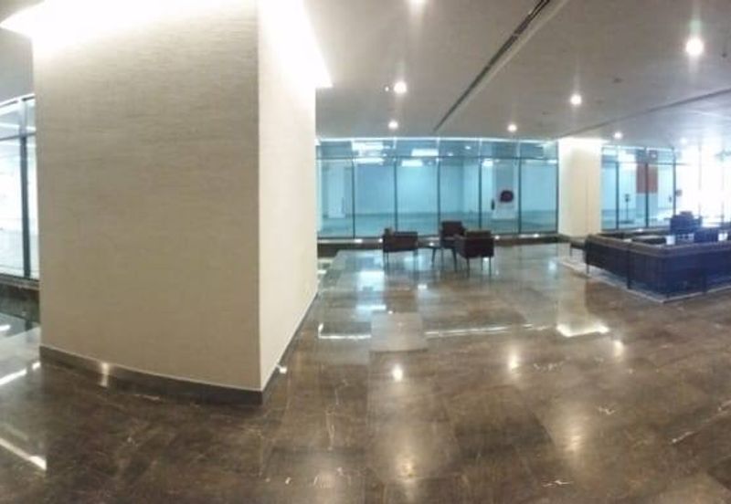 Cyperus @ Tropicana Gardens