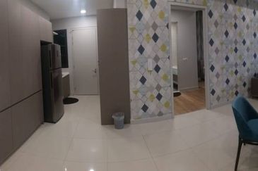 Cyperus @ Tropicana Gardens