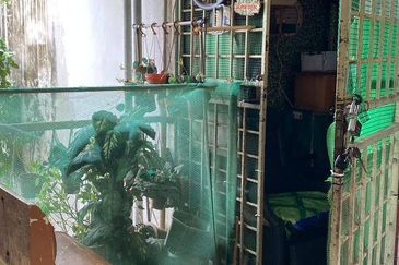 Flat PKNS Seksyen 19