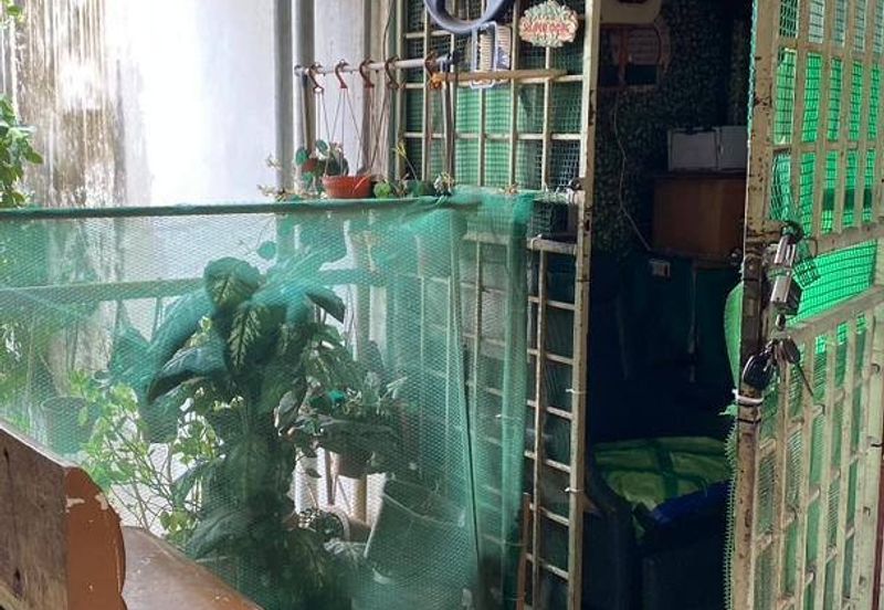 Flat PKNS Seksyen 19