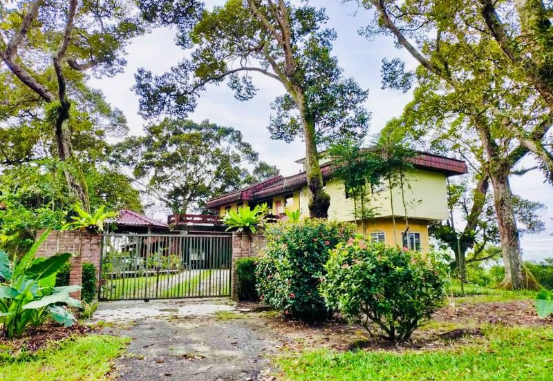 🔥 FOR SALE – DURIAN PLANTATION BATU PAHAT@ SENGGARANG – PONTIAN 🔥