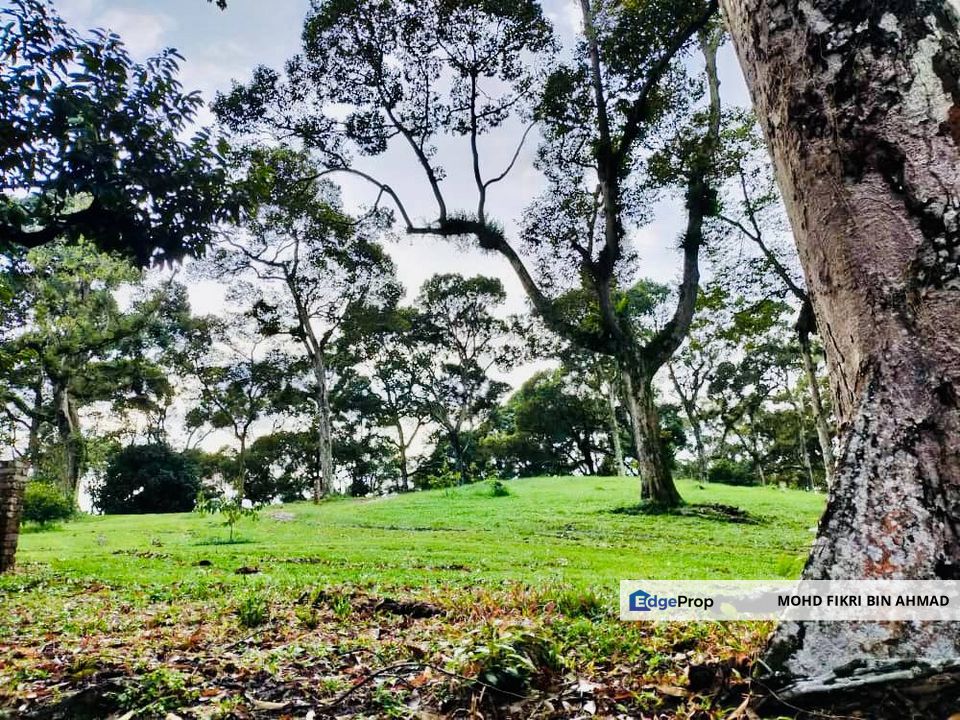 🔥 FOR SALE – DURIAN PLANTATION BATU PAHAT@ SENGGARANG – PONTIAN 🔥, Johor, Pontian