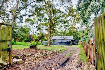 🔥 FOR SALE – DURIAN PLANTATION BATU PAHAT@ SENGGARANG – PONTIAN 🔥