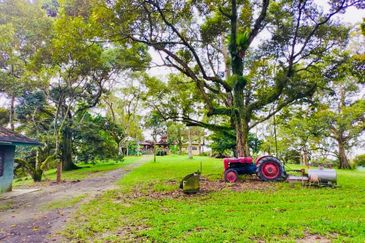 🔥 FOR SALE – DURIAN PLANTATION BATU PAHAT@ SENGGARANG – PONTIAN 🔥